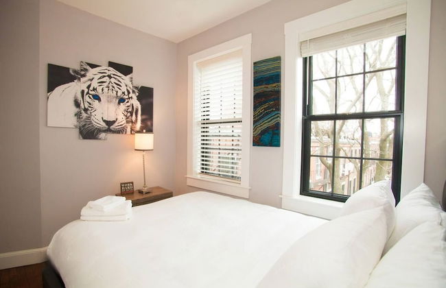 Luxury Back Bay Downtown Boston NEW Condo - Foto 4