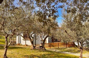 oasi macerina - Foto 52