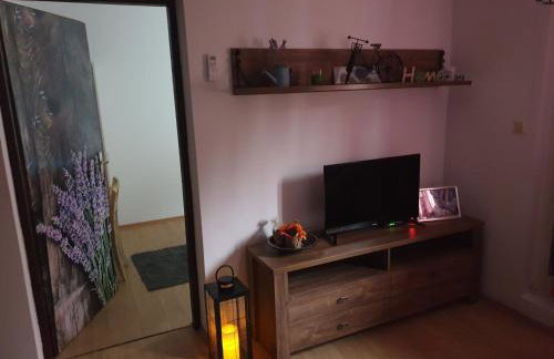 Vila Ema-kuća za odmor - Foto 18