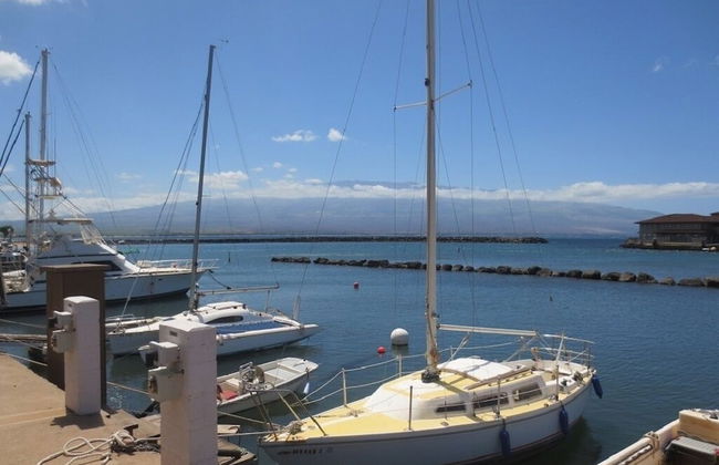 Maalaea Kai 316 1 Bedroom Condo by RedAwning - Foto 23