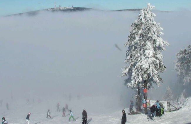 Appartement im Fuchsbau in Bad Sachsa - Foto 27