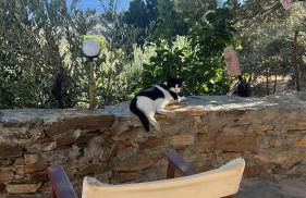 Ikarian traditional house - Foto 7