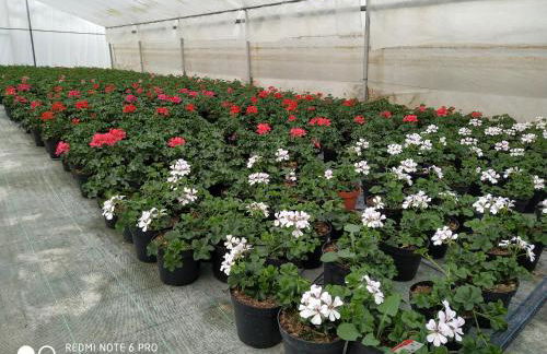 AGRITURISMO " LE SERRE" - Foto 38