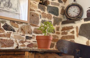 Plismoní - Photo 10