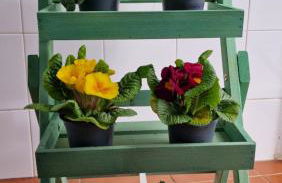 Casa Maria - Foto 44