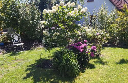 Waldwinkel - Foto 10