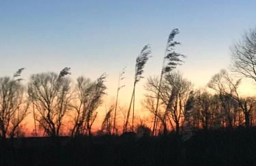 Feriendomizil Dornum Haus Margarete mit Wallbox - Foto 25