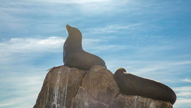 Cabo San Lucas Tour - Foto 4