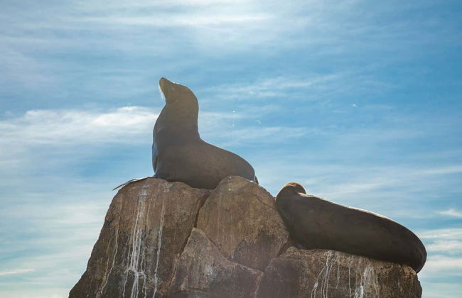 Cabo San Lucas Tour - Foto 4