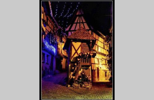 Coeur Alsace - Foto 63