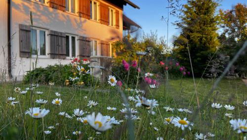 Ruhiges wohnen mit Bergblick - Foto 2