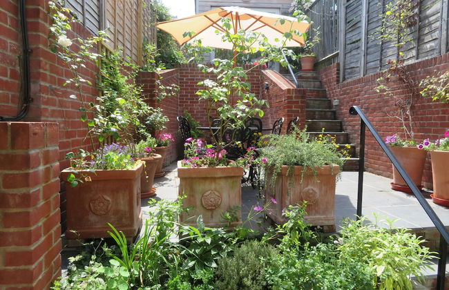 Peaceful Elevated Residential Area - Walk to City - Foto 16