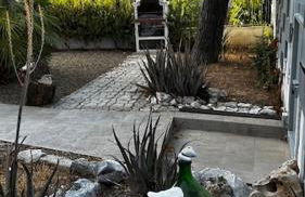 Il Rhybasteinon - Foto 13