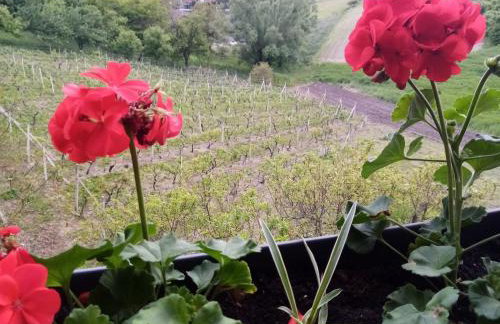 Apartman 2 - Foto 14