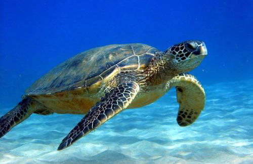 #1 NEW! Couples Getaway Self CheckIn Studio Apt - Photo 12