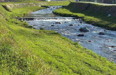 River House - Foto 34