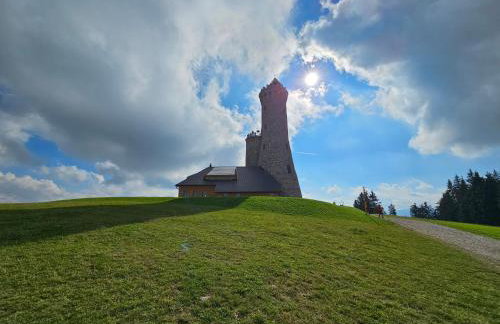 Domki Pod Lasem - Domek Brzozowy - Foto 51