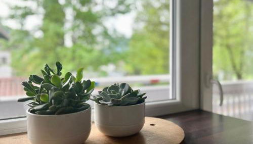 Ferienwohnung IMMI - Foto 4