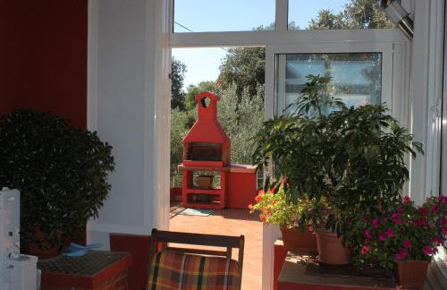 Apartments with a parking space Ugljan - 8404 - Foto 25