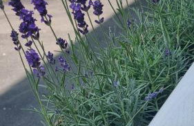 Apartment NADA - Foto 20