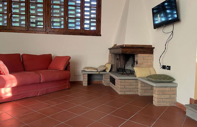 Gatto Bianco Tizzauli - Foto 30