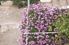 Apartment Sliskovic - Photo 40