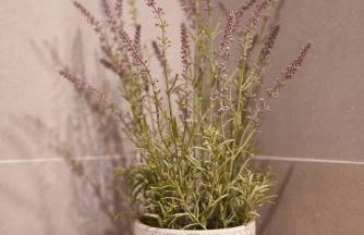 Casa Surya, piscina, wifi y parking con punto de carga EV - Foto 12