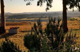 Agriturismo Uliveto Gretacci - Foto 29