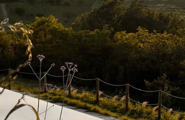 Cascina Gazzeri Country House - Foto 42