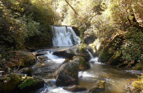 The Owl's Perch - Foto 29