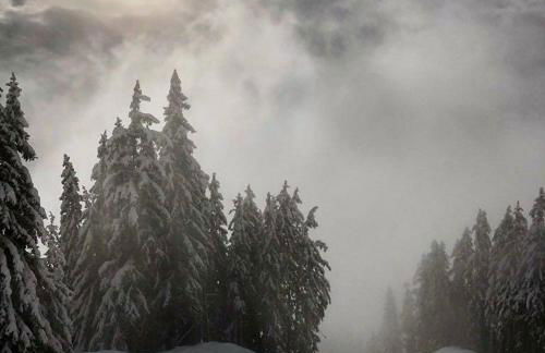 Luxury Apartment MONTCHAVIN - Foto 18