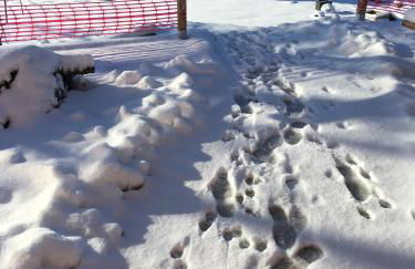 Holiday Home Near Lake and Leisure in Clos du Bannet - Foto 57