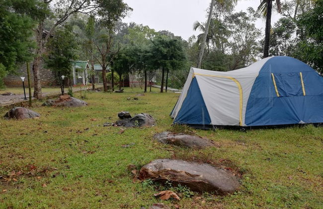 Lourdes Eco Bungalow - Photo 33