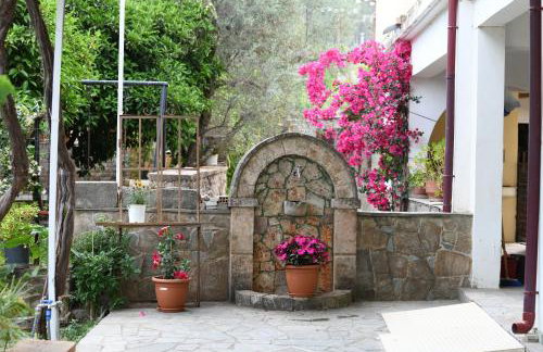 Art Flowers and Culture - Foto 20