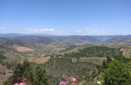 Douro Valley Private Terrace & Lounge - Foto 7