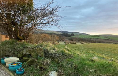 Y Gweithdy Rhos Eirin - Foto 24