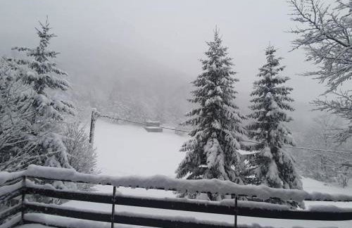 Kuća za odmor Platak - Foto 3