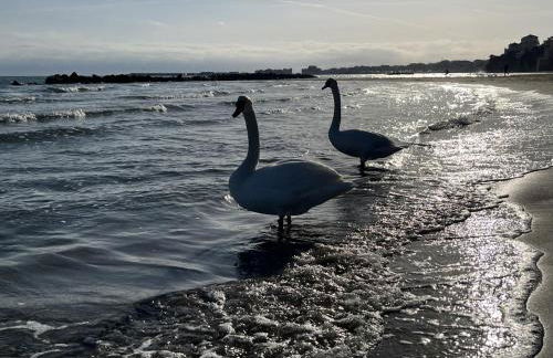 Casa de la Luna - Foto 45