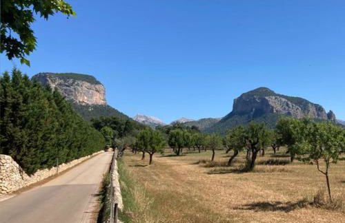 Sa Sort de Can Moix - Foto 26