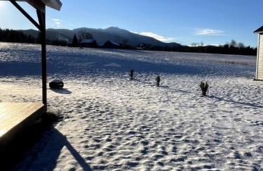 Farmhouse cabin close to Smugglers Notch - Foto 42