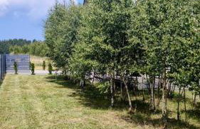 Brzozowa Polana - Foto 34