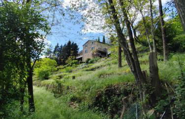 Clède lovée dans la forêt, sauna & bain nordique - Foto 26