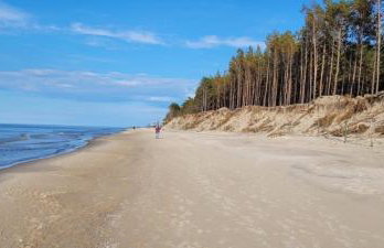 Boho House - Foto 41