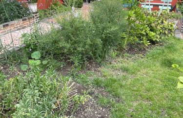 Cottage de la Risle - Foto 21