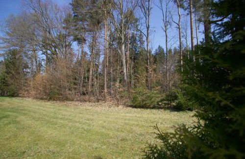 Feriensiedlung Alte Talsperre - Foto 30