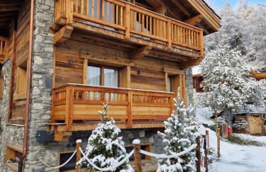 Chalet Les Cochettes - Foto 17