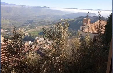 Nni Turiddu - Foto 8