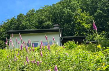 Ferienhaus Seeblick - Foto 33