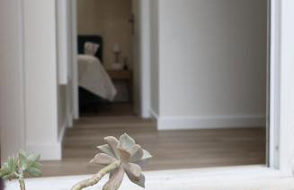 Split Avocado Dream - Foto 38