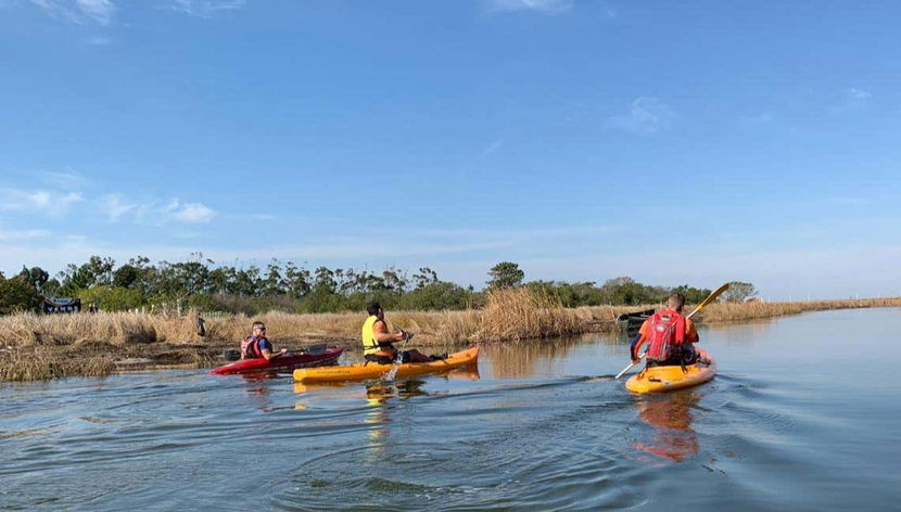 Contemplando la vegetazione endemica